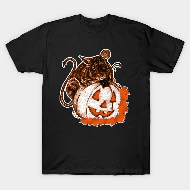 Cute Halloween Rat and Pumpkin Graphic With Fall Leaves T-Shirt by DesignFunk